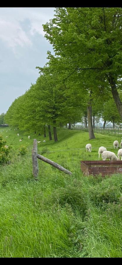 Ferienhaus Scheldezicht In Zeeland Dicht Bij Zee Scherpenisse