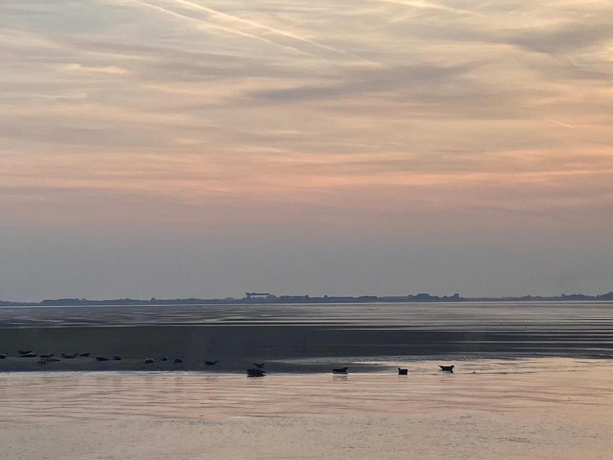 Ferienhaus Scheldezicht In Zeeland Dicht Bij Zee *