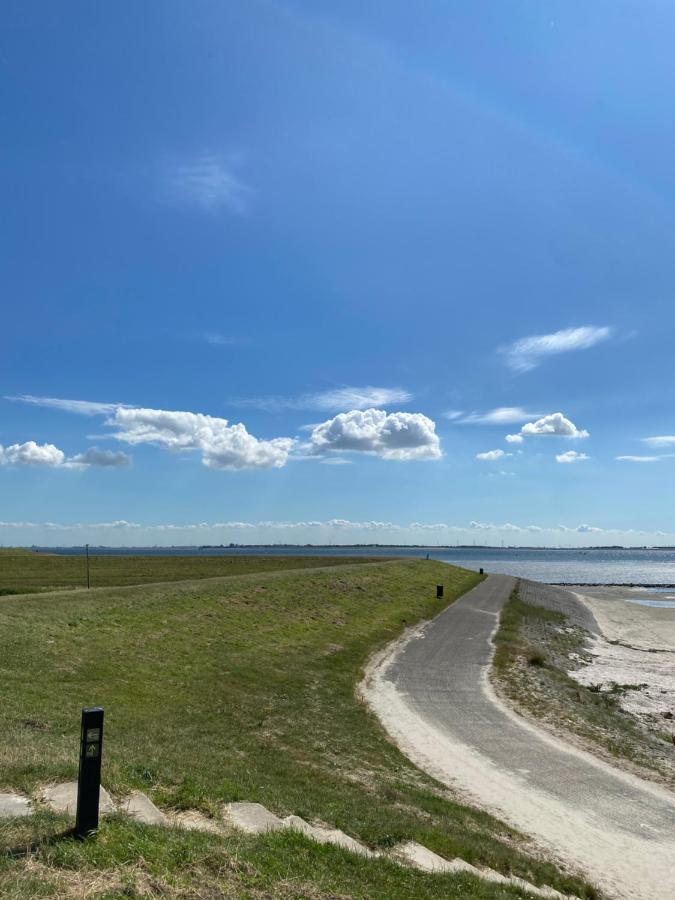 Scheldezicht In Zeeland Dicht Bij Zee * Scherpenisse